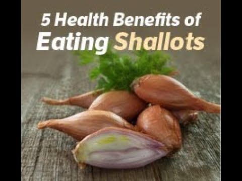download lagu mp3 mp4 Shallots Benefits, download lagu Shallots Benefits gratis, unduh video klip Shallots Benefits