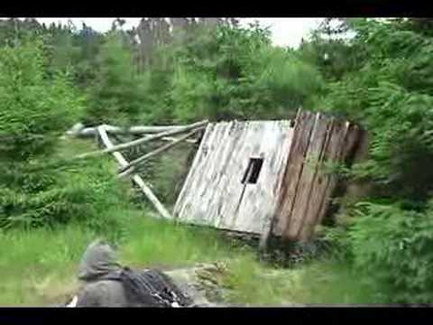 Militante Ökoterroristen und Borkenkäfer