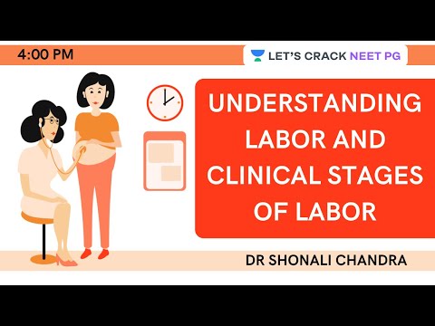 Understanding Labor & Clinical Stages of Labor | Target NEET PG 2021 | Dr. Shonali Chandra