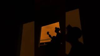 Download lagu Story' wa (Agnes Monica-Matahariku)Cover Panjiahriff mp3