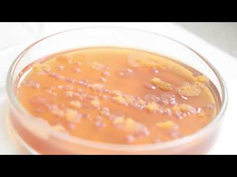 Las dos caras de la carta