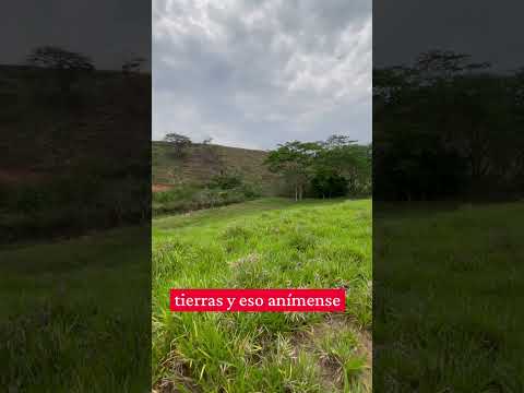 Hermosa finca en venta Medina Cundinamarca 🔥 #eeuu
