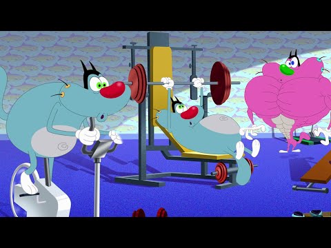Oggy and the Cockroaches 💪 OGGY THE BODYBUILDER 💪 - Full Episodes HD
