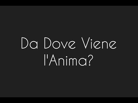 36 - Da Dove viene l'Anima? - Ipnosi Regressiva Esoterica Stefano Amodeo