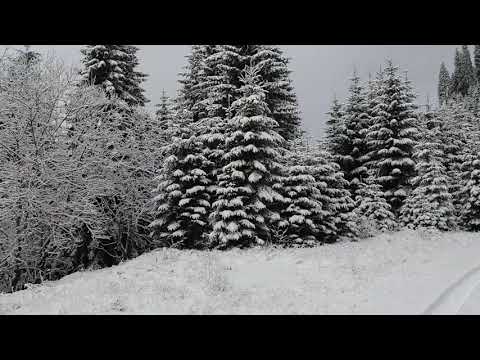 Drumul către Podul Cu Flori la inceput de Decembrie 2021(1)