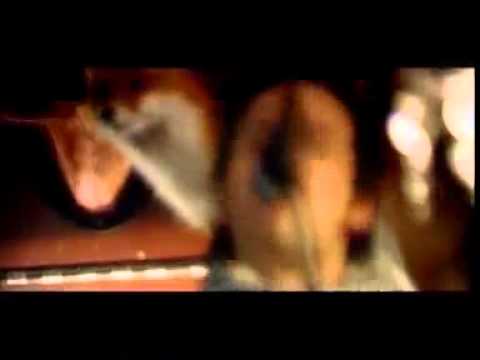 Prime Sth - Fishbowl