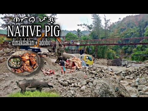 EP47- construction site ,cooking native pig and eating| Philippine countryside life
