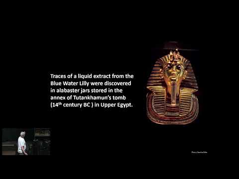 Graham Hancock - Psychedelics and the Quest forLife After Death:A Lost Key to Prehistory?