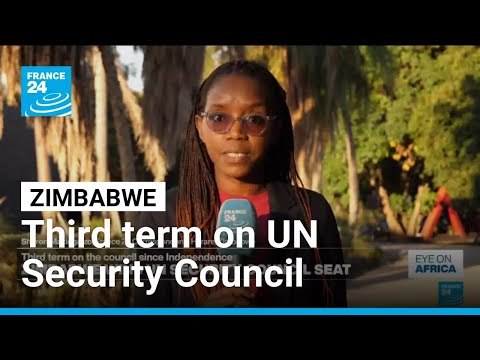 Zimbabwe elected to UN Security Council