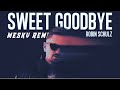 Robin Schulz - Sweet Goodbye (Mesky Techno Remix)