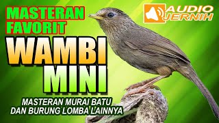 Download lagu MASTERAN SUARA WAMBI MINI GACOR | FULL ISIAN VOLUME KERAS TEMBAKAN KASAR mp3 Download lagu MASTERAN SUARA WAMBI MINI GACOR | FULL ISIAN VOLUME KERAS TEMBAKAN KASAR mp3