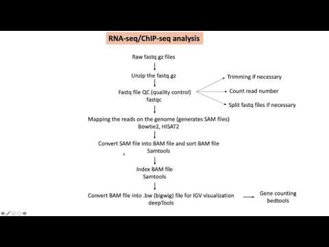 Bioinformatics101_Overview of RNA-seq and ChIP-seq analysis