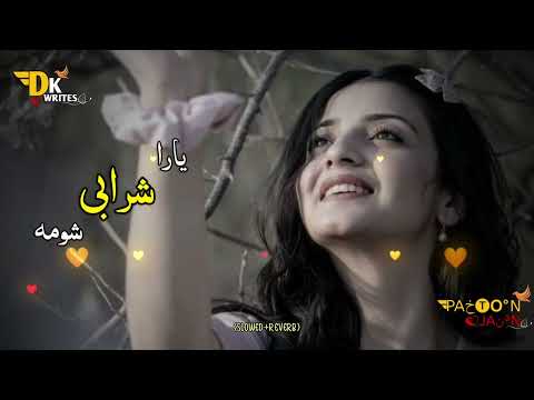 yaara sharabi shoma pashto song (slowed+reverb) || #pashto #song #video #viral
