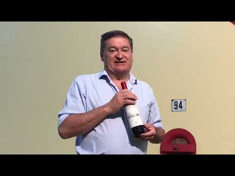 Apresentação do novo Copertino DOC - Cantina Cupertinum