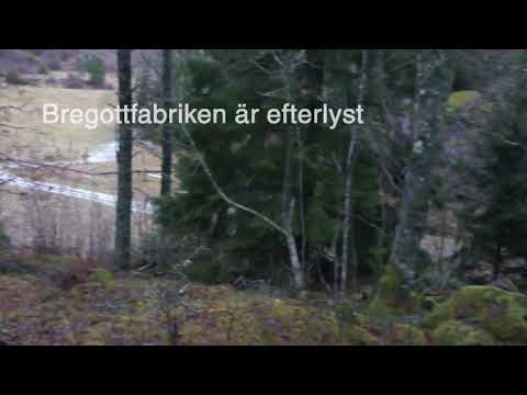 Bregottfabriken är efterlyst