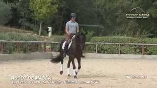 Ascot de Massa vendu aux Etats-Unis