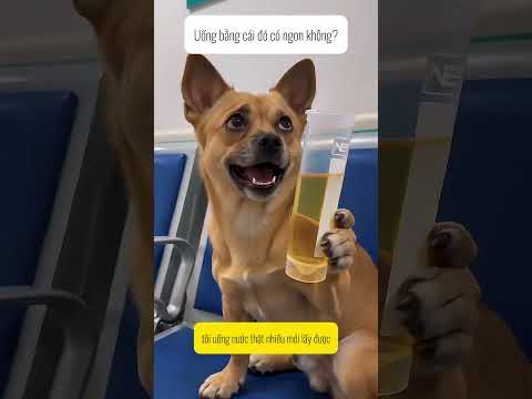 Uống bằng cái ống đó có vị gì lạ không?