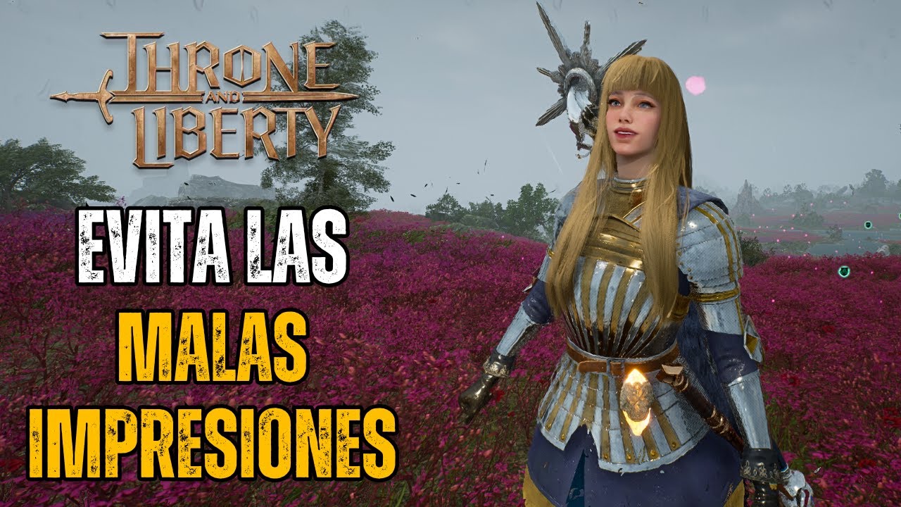 👍🏻 - Throne & Liberty: Guía de configuraciones