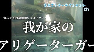 【企画】あれから、7年経ちました 初投稿！我が家のアリゲーター動画をリメイクしてみた