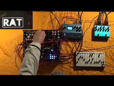 Funque Mod Eurorat Distortion image 4