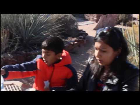 mylasvegastriprajesh-part2