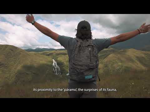 Climate Action! Support Nature Reserve in Colombia