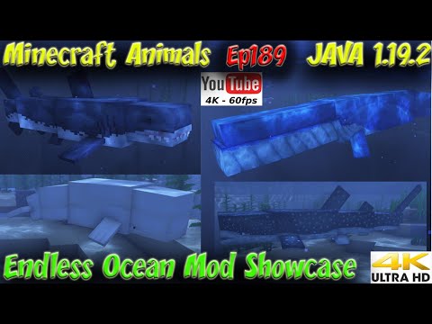 EPIC Minecraft Ocean Adventure! New MOD w/ Animals