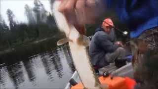 preview picture of video 'Slaying pike on the Mississagi river'