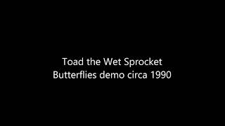 Toad the Wet Sprocket - Butterflies demo circa 1990