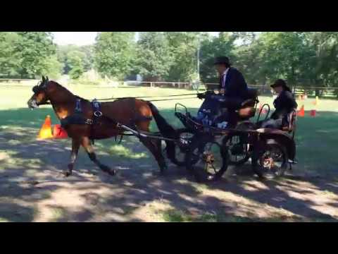 Fahrturnier Neu Versen 23.6.2019