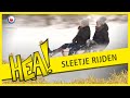 HEA: Sleetje rijden in het park.