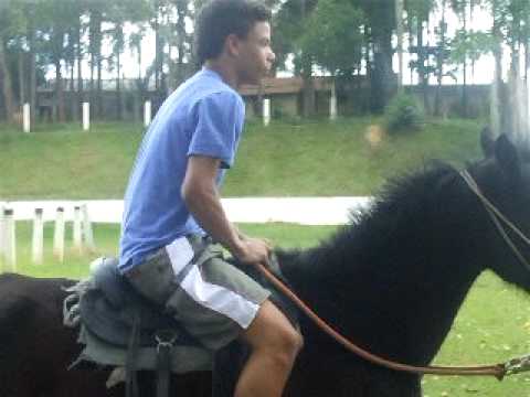 UM CAVALO EM CIMA DO OUTRO - FRANK