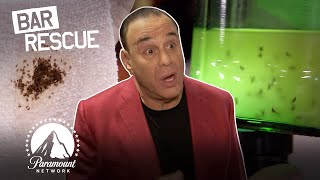 7 NASTY Bars That Had BUGS in Their Drinks 🤢 Bar Rescue