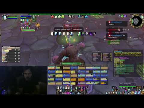 WoW Classic Naxxramas - Loatheb (wipe) - Holy Priest POV