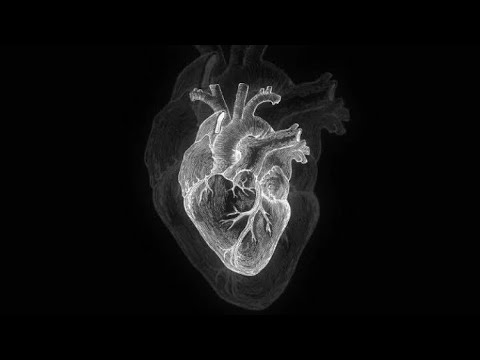 KVBV LERA _-_Baby (audio officiel)