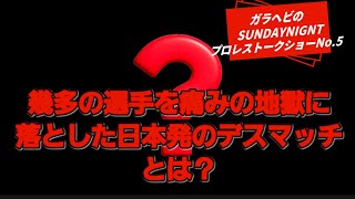 ガラヘビのSUNDAYNIGNTプロレストークショーNo.5 世界一痛く、世界一痛みの共感が出来るある試合形式について@ガラヘビ　@プロレス