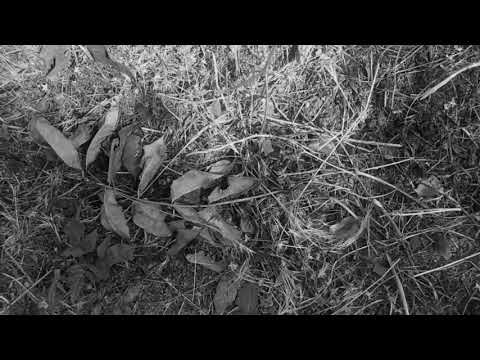 Video thumbnail EsymnXlFYwY