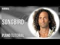 How to play Songbird by Kenny G on Piano (Tutorial)