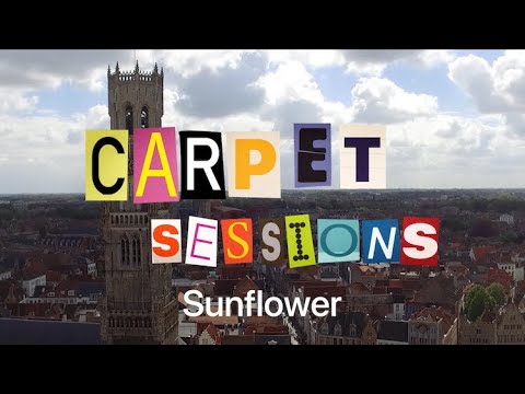 Sunflower - Full Performance (Carpet Sessions)