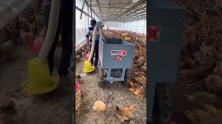 Electric feeder for chicken poultry farm equipment chicken##poultry .