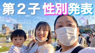 【第2子性別発表】幻想的なバブルワールド(シャボン玉)に囲まれて🫧としみんファミリーからのお知らせ【近況報告】
