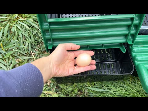 Unboxing and putting together a nesting box for our chickens.
