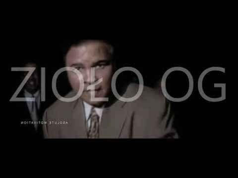 Zioło OG • Mix Gościnnych zwrotek (feat'ów) cz.1