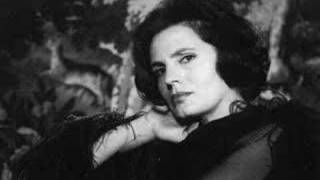 El Negro Zumbón Lyrics English Translation