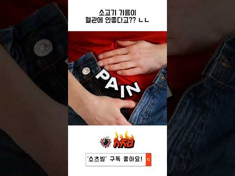 소고기 기름 진실 소고기 기름 진실