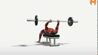 Supine Barbell French Curl exercise video thumbnail