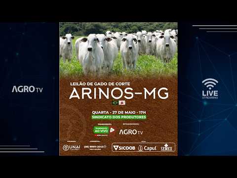 UNAÍ LEILÕES - ARINOS MG - 27/05/2026