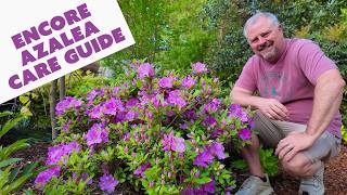 Encore Azalea Care Guide: What to Do Each Season