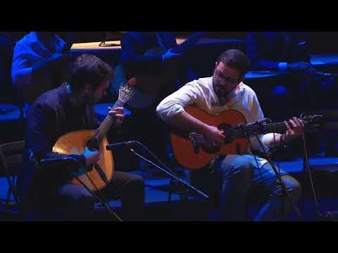 Ensaio nº1 - Octávio Sérgio