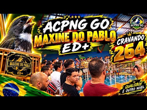 TORNEIO NA ACPNG NOVO GAMA GO DIA 11/19/2026 DESTAQUE AO BAIANO MAXINE DO PABLOED+ CRAVOU 264 CANTOS